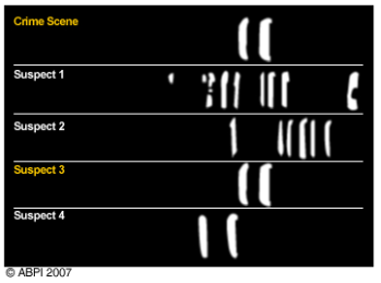 DNA Finger Print