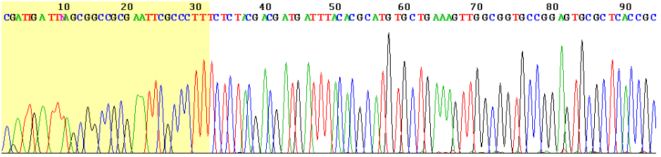 Sanger Sequencing